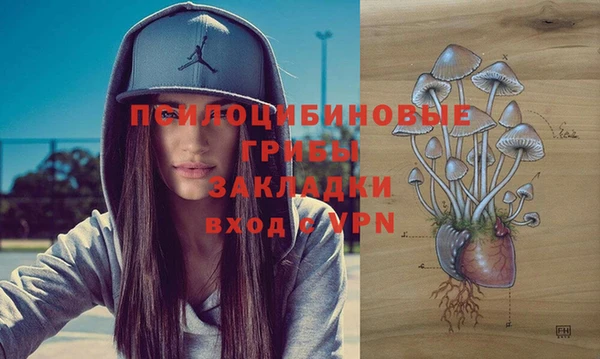 крисы Алексеевка