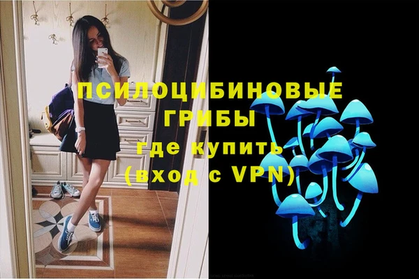 mdpv Аркадак
