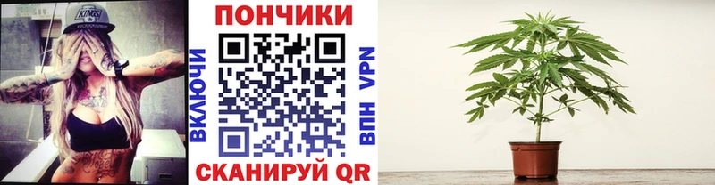 что такое   Буинск  Шишки марихуана ГИДРОПОН 